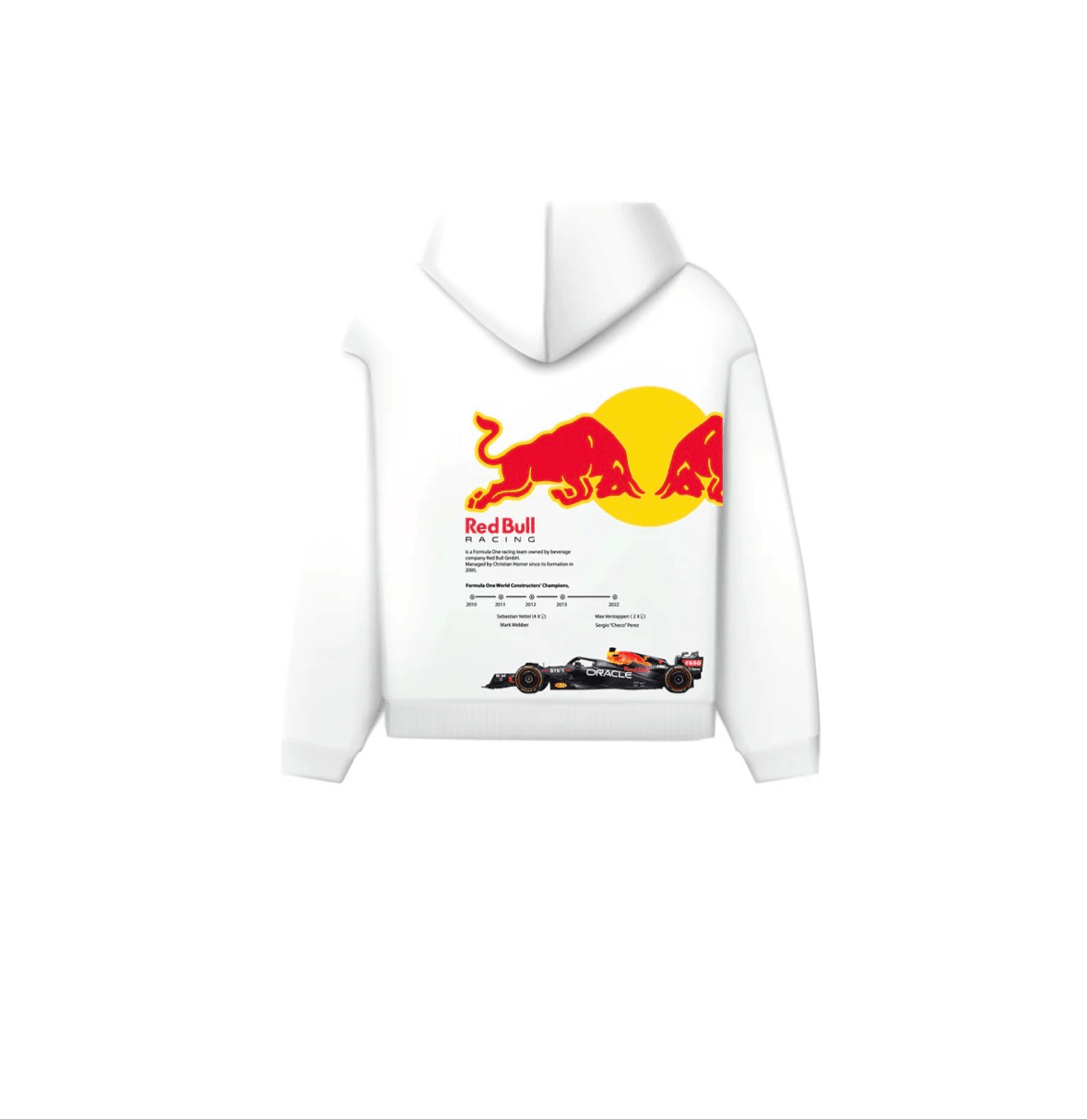 FORMULA 1 HOODIE - TEEFUSION