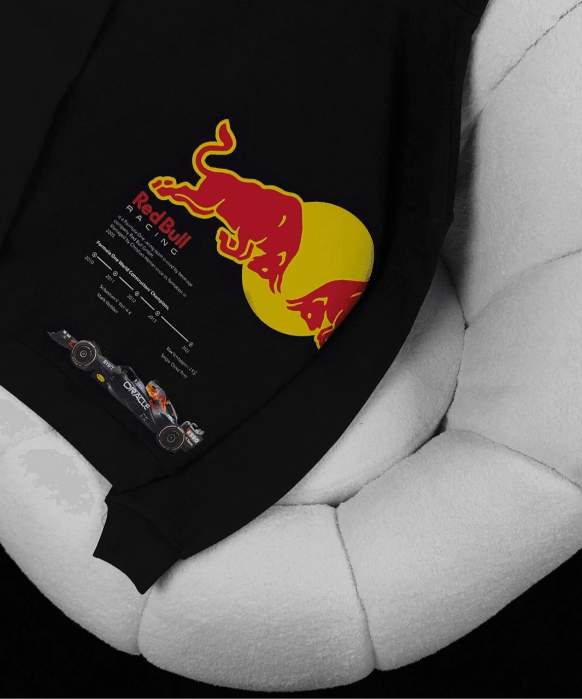 FORMULA 1 HOODIE - TEEFUSION